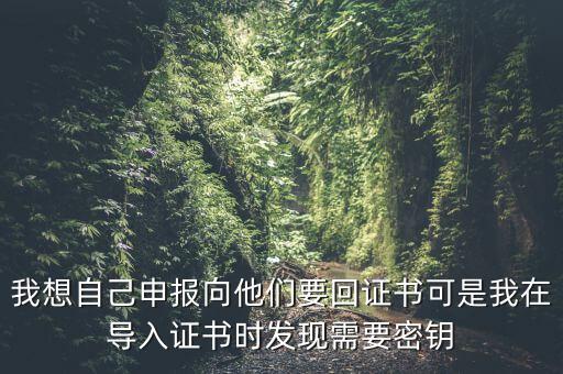 報稅為什么要用到密鑰，我想自己申報向他們要回證書可是我在導入證書時發(fā)現(xiàn)需要密鑰
