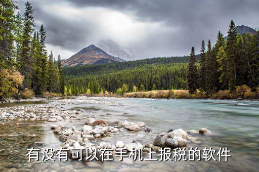 有沒有可以在手機(jī)上報稅的軟件