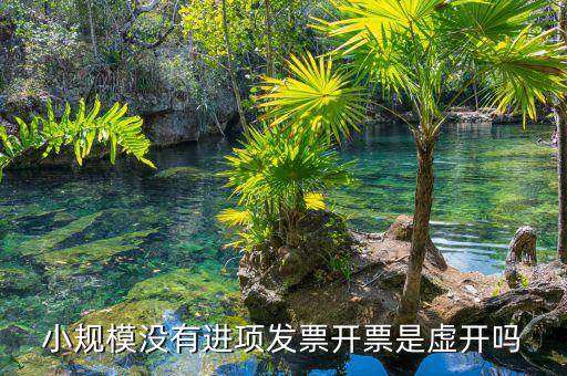 什么是虛假進(jìn)項(xiàng)發(fā)票，什么是虛購增值稅發(fā)票