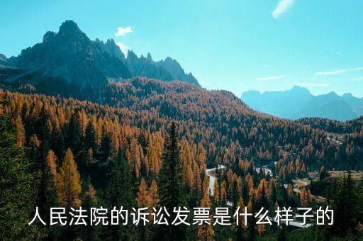 發(fā)票原件是什么樣的，正規(guī)的發(fā)票長什么樣子
