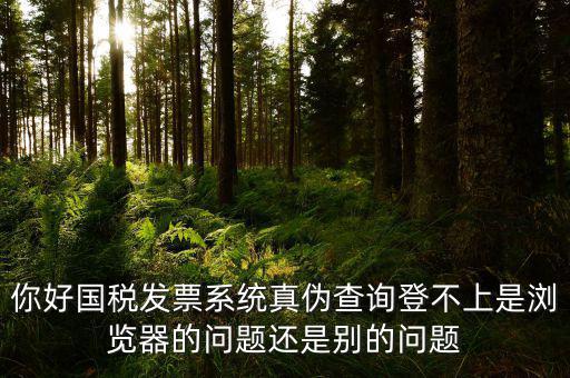 新疆國稅發(fā)票查詢?yōu)槭裁催M(jìn)不去，為什么國稅官網(wǎng)中電子發(fā)票查詢打不開
