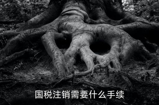 國稅局注銷要什么手續(xù)，國稅注銷需要什么手續(xù)