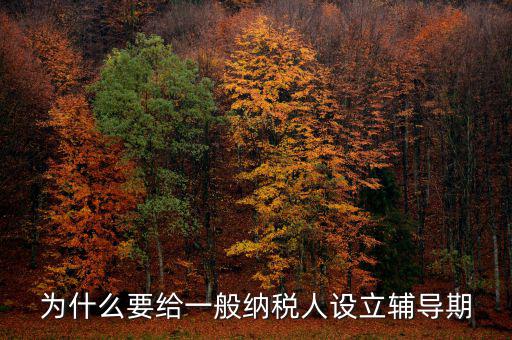 為什么增值稅輔導(dǎo)期，什么是輔導(dǎo)期一般納稅人