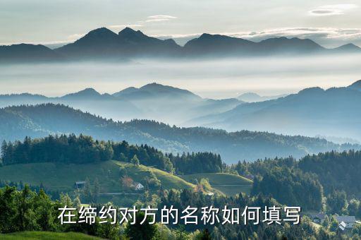 締約對(duì)方是什么意思，在締約對(duì)方的名稱如何填寫(xiě)