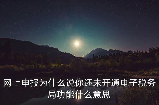 電子稅務(wù)局是干什么，企業(yè)金稅盤系統(tǒng)用來開票抄稅報(bào)稅用那登錄國(guó)稅地稅局網(wǎng)站是干嘛的