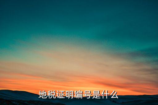地稅登記序號是什么，地方稅納稅資料封面上稅務登記證號是甚么