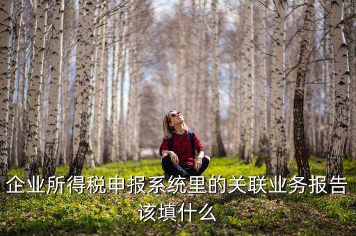 什么情況寫關(guān)聯(lián)申報(bào)，企業(yè)所得稅申報(bào)系統(tǒng)里的關(guān)聯(lián)業(yè)務(wù)報(bào)告該填什么