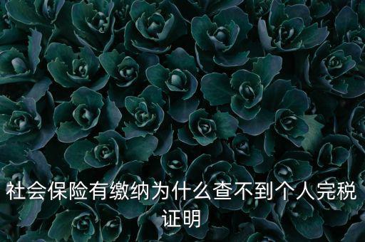 為什么查不到納稅記錄，社會保險有繳納為什么查不到個人完稅證明