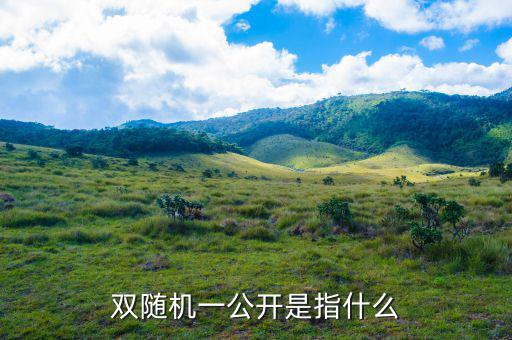 稅務(wù)雙隨機(jī)一公開(kāi)是什么意思，雙隨機(jī)一公開(kāi)屬于什么用語(yǔ)比如習(xí)語(yǔ)標(biāo)語(yǔ)或者成語(yǔ)之類的因?yàn)?/></a></span><span id=