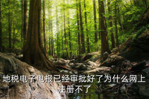 河地稅網(wǎng)上辦稅為什么注冊(cè)不了，地稅網(wǎng)上打印報(bào)表提示沒有注冊(cè)要怎么注冊(cè)呢