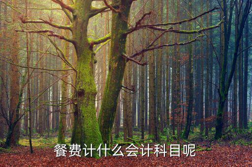 研發(fā)人員的餐費(fèi)計(jì)入什么科目，餐費(fèi)計(jì)什么會(huì)計(jì)科目呢