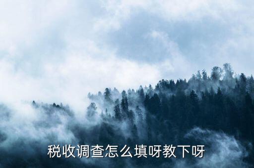 稅收調(diào)查主要調(diào)查什么，企業(yè)所得稅稅收調(diào)查