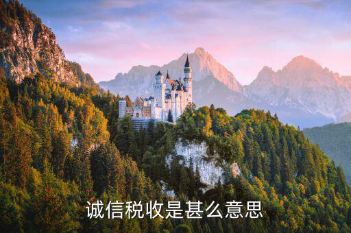 什么是誠信納稅，依法誠信納稅共建小康社會是對的嗎