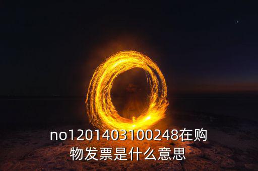湖南發(fā)票號(hào)碼是什么意思，發(fā)票參考號(hào)是什么意思