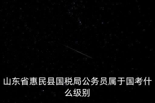 惠民國稅局在什么地方，國稅局在哪里