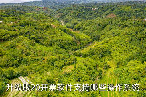 開(kāi)票軟件適用什么系統(tǒng)，有沒(méi)有適合電商用的發(fā)票處理系統(tǒng)