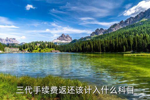 什么叫三代手續(xù)費(fèi)，三代手續(xù)費(fèi)返還該計(jì)入什么科目