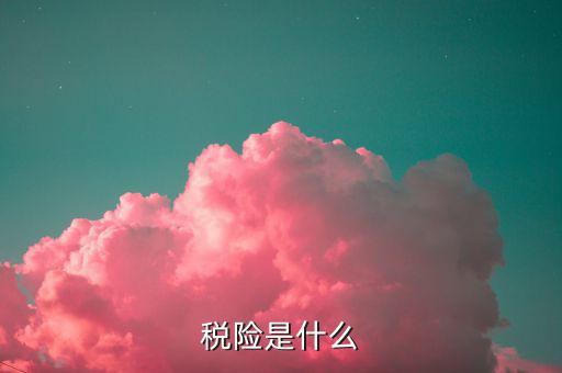 保險的稅優(yōu)碼是什么意思，稅險是什么