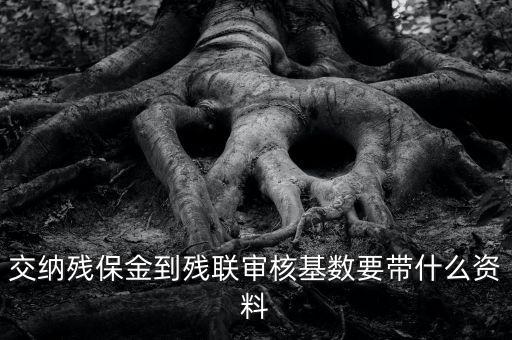 去稅務(wù)申報(bào)殘保金帶什么資料，去地稅交殘疾人保障金需要什么資料