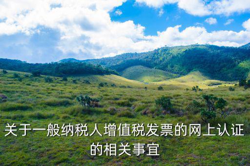 關于一般納稅人增值稅發(fā)票的網上認證的相關事宜