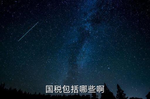 國(guó)稅涵蓋什么，國(guó)稅包括哪些啊