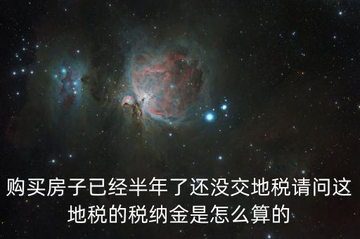 地稅帶納金是什么意思，地稅網上申報其中的申報計稅金是什么意思