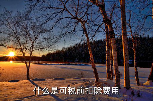 可扣除的稅款是什么，企業(yè)所得稅中可在所得稅前扣除的稅金包括