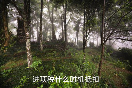認(rèn)證的進(jìn)項(xiàng)稅什么時(shí)候抵扣，進(jìn)項(xiàng)稅什么時(shí)機(jī)抵扣