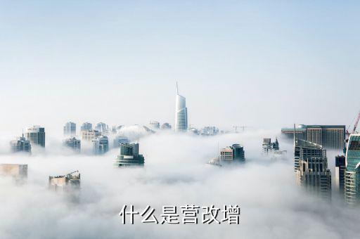 什么是營改增雙代業(yè)務(wù)，什么是營改增