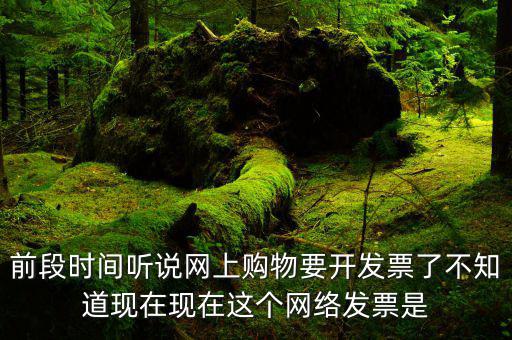 網(wǎng)絡(luò)發(fā)票是什么，在網(wǎng)上買(mǎi)東西電子發(fā)票與普通發(fā)票有區(qū)別嗎