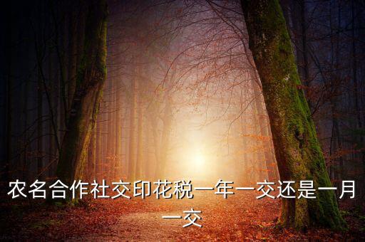 合作社交什么稅，供銷(xiāo)合作社聯(lián)合社交稅嗎