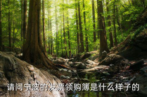 發(fā)票領(lǐng)用簿什么樣子，會計(jì)發(fā)票領(lǐng)購沒經(jīng)驗(yàn)想請問領(lǐng)購的發(fā)票時什么樣的有金額顯示嗎