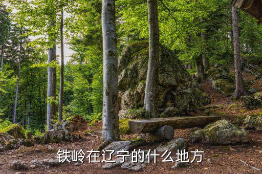 鐵嶺市什么省，鐵嶺在遼寧的什么地方