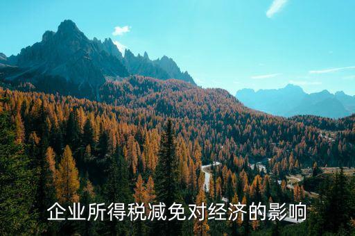 減稅免稅有什么弊端，減稅對(duì)個(gè)人和企業(yè)的不利影響