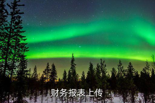 每年上傳什么財務報表，報哪些稅時需要上傳財務報表麻煩詳細一點報增值稅時怎樣上傳財