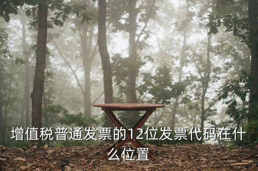 12位發(fā)票代碼是什么，增值稅普通發(fā)票的12位發(fā)票代碼在什么位置