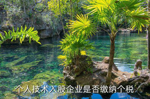 個人專利入股繳什么稅，請教稅法高手個人專利技術(shù)入股需繳稅嗎