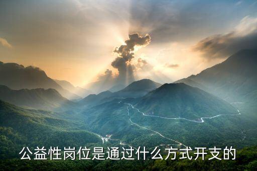 什么是公益性支出，公益性崗位是通過(guò)什么方式開支的