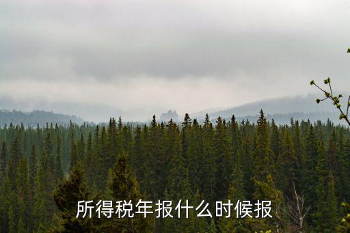 國(guó)稅企業(yè)所得稅年報(bào)什么時(shí)候開始報(bào)，什么時(shí)間報(bào)企業(yè)所得稅年度納稅