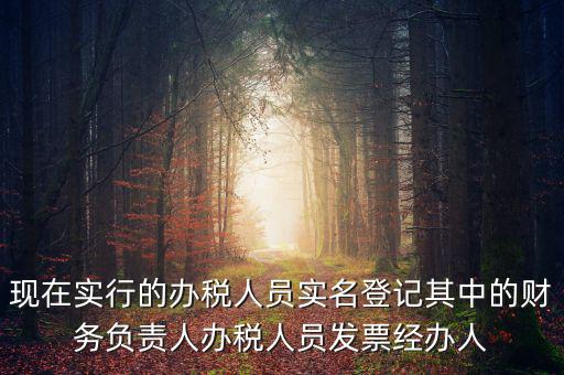實(shí)名辦稅是什么時(shí)間提出的，現(xiàn)在實(shí)行的辦稅人員實(shí)名登記其中的財(cái)務(wù)負(fù)責(zé)人辦稅人員發(fā)票經(jīng)辦人