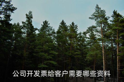 公司開票需要什么資料，請問開發(fā)票需要什么資料