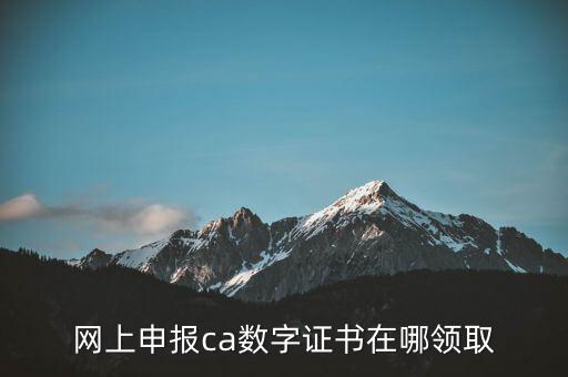申報領(lǐng)取什么CA，財務(wù)報稅的ca通道是什么