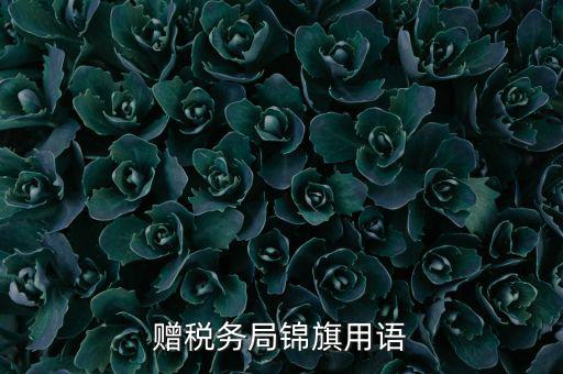 贈(zèng)送稅務(wù)所錦旗寫什么，贈(zèng)稅務(wù)局錦旗用語(yǔ)