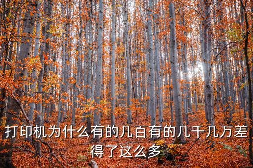 發(fā)票打印機(jī)為什么這么貴，為什么針式打印機(jī)還是那么貴