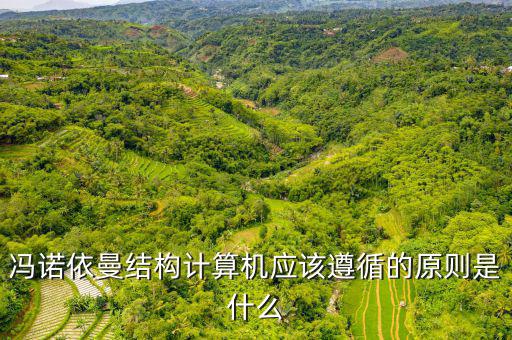 馮諾依曼結(jié)構(gòu)計算機應該遵循的原則是什么