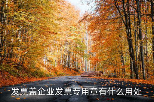 發(fā)票專用章有什么用，公司的發(fā)票專用章是干嘛用的