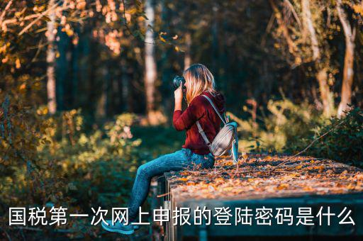 深圳網(wǎng)廳國稅登錄秘碼是什么意思，稅務(wù)局網(wǎng)站的登入賬戶初始密碼是什么