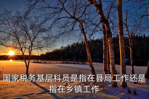 稅務(wù)系統(tǒng)的基層指什么，國家稅務(wù)基層科員是指在縣局工作還是指在鄉(xiāng)鎮(zhèn)工作