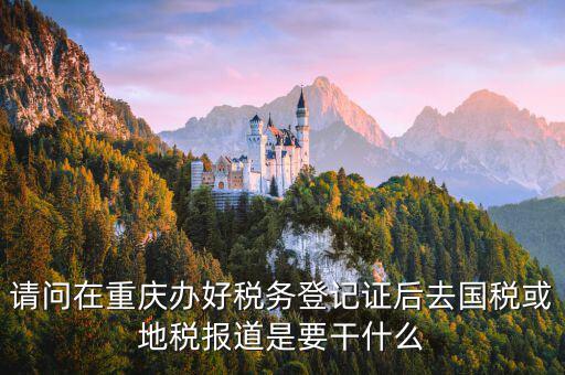 地稅報道是什么，地稅報的是哪些稅月報還是季報還是年報