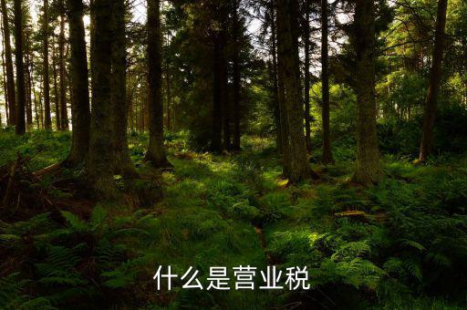 營業(yè)稅是什么行為稅，請問什么是營業(yè)稅